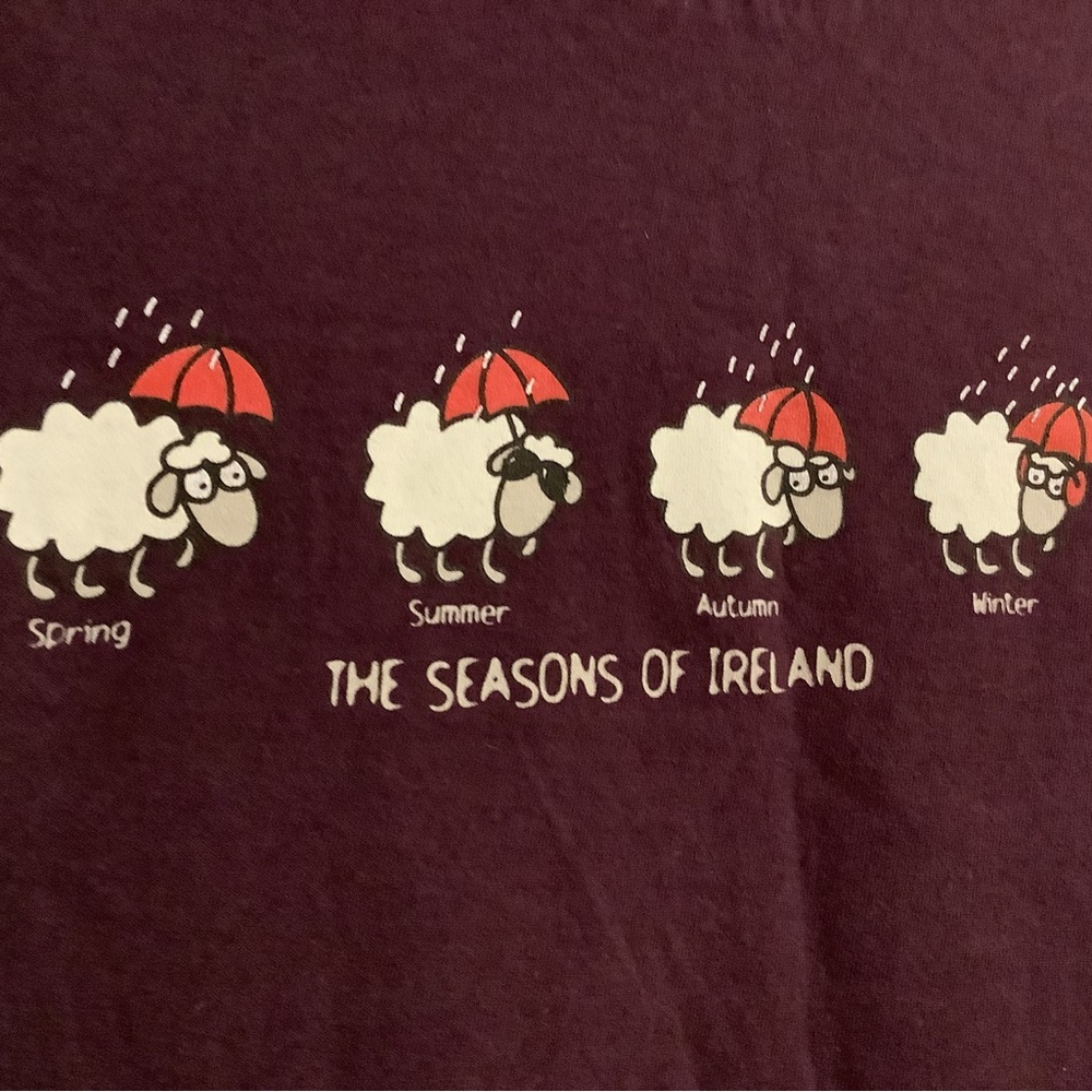 Ireland T small - Picture 2 of 4